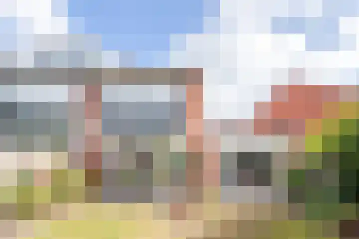 Punter 37 Veenendaal thumbnail 22