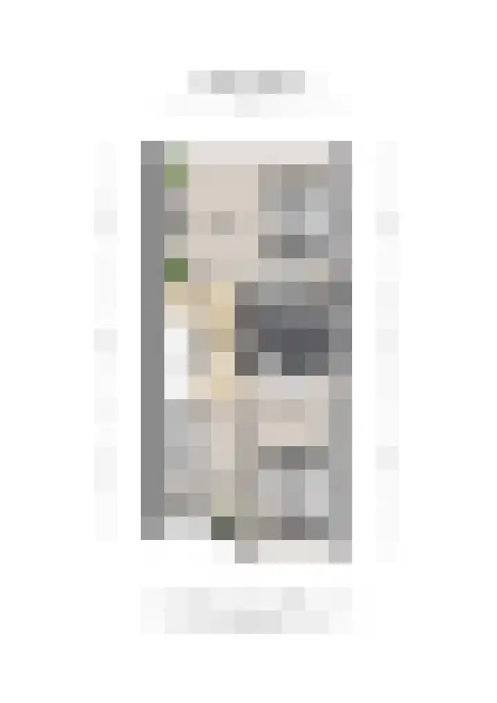 Punter 37 Veenendaal thumbnail 31