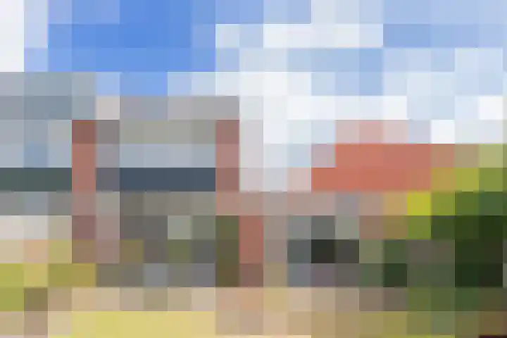 Punter 37 Veenendaal thumbnail 4