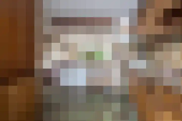 Punter 37 Veenendaal thumbnail 8
