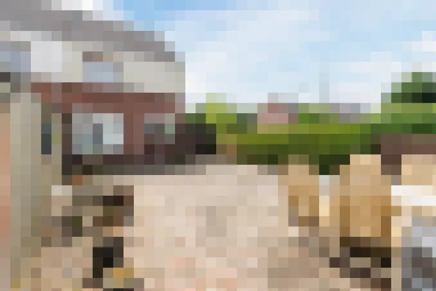 Punter 44 1 Lelystad thumbnail 27