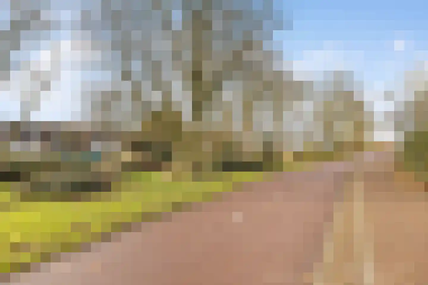 Punter 45 2 Lelystad thumbnail 32