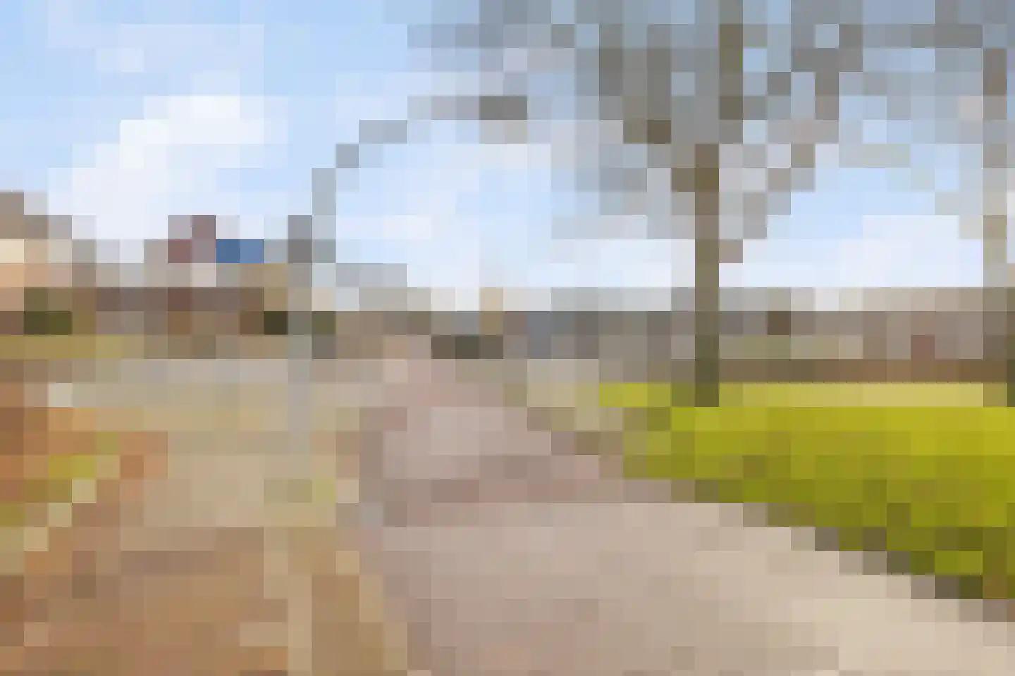 Punter 45 2 Lelystad thumbnail 33