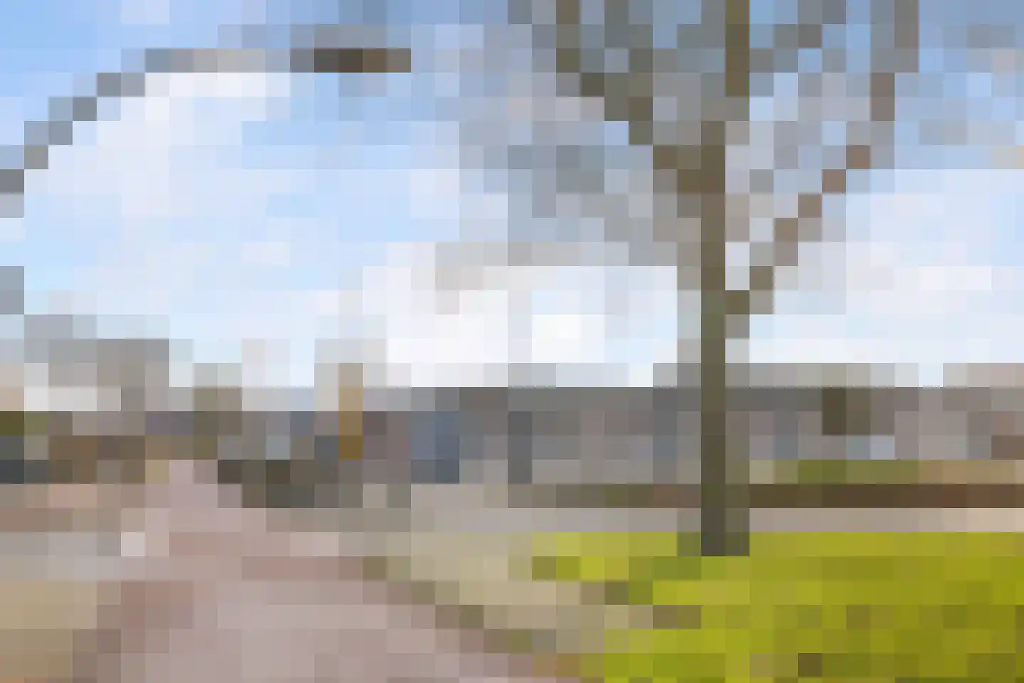 Punter 45 2 Lelystad thumbnail 34