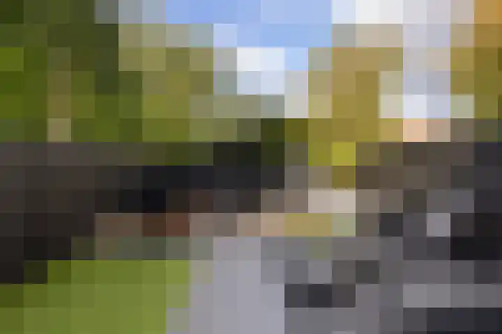 Punter 45 45 12 Lelystad thumbnail 35