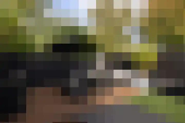 Punter 45 45 12 Lelystad thumbnail 36
