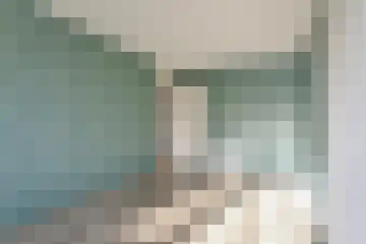 Punter 47 47 10 Lelystad thumbnail 14
