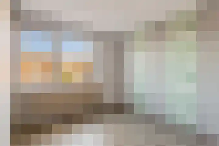 Punter 47 47 10 Lelystad thumbnail 17