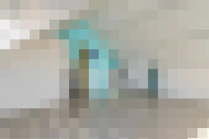 Punter 47 47 10 Lelystad thumbnail 22