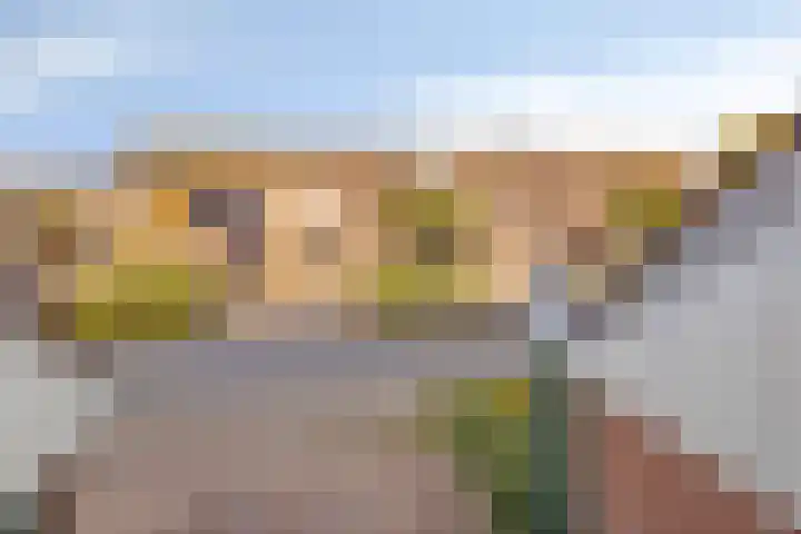 Punter 47 47 10 Lelystad thumbnail 23