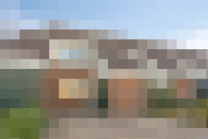 Punter 47 47 10 Lelystad thumbnail 4