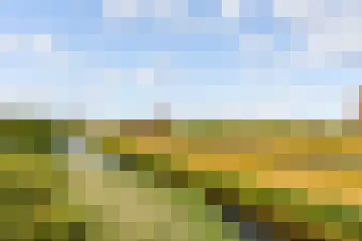 Punter 48 25 Lelystad thumbnail 41