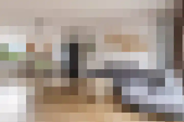 Punter 48 25 Lelystad thumbnail 8