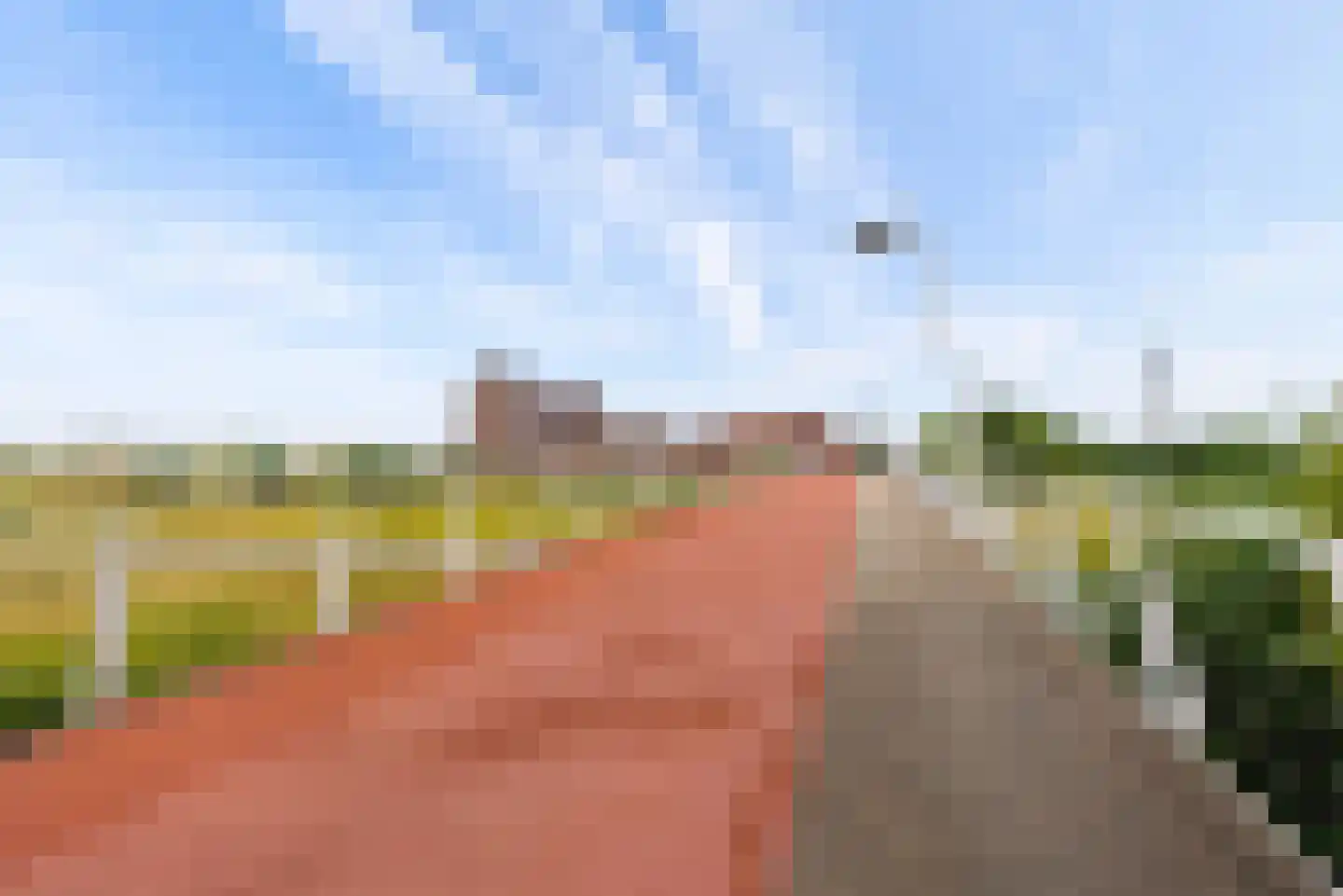 Punter 49 27 Lelystad thumbnail 65