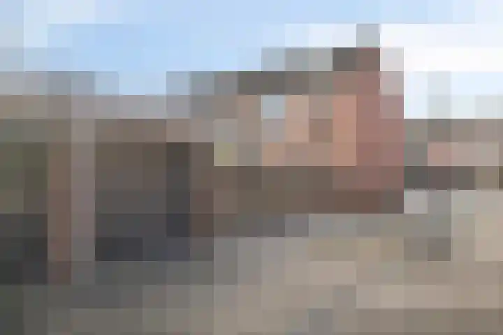 Punter 49 49 16 Lelystad thumbnail 28