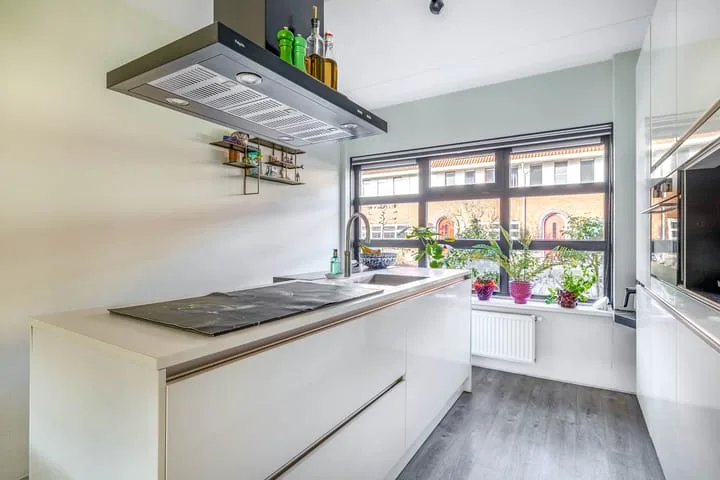 Punter 7 Meppel thumbnail 14