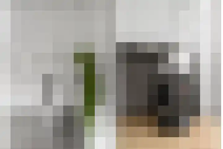 Punter 77 Barendrecht thumbnail 18