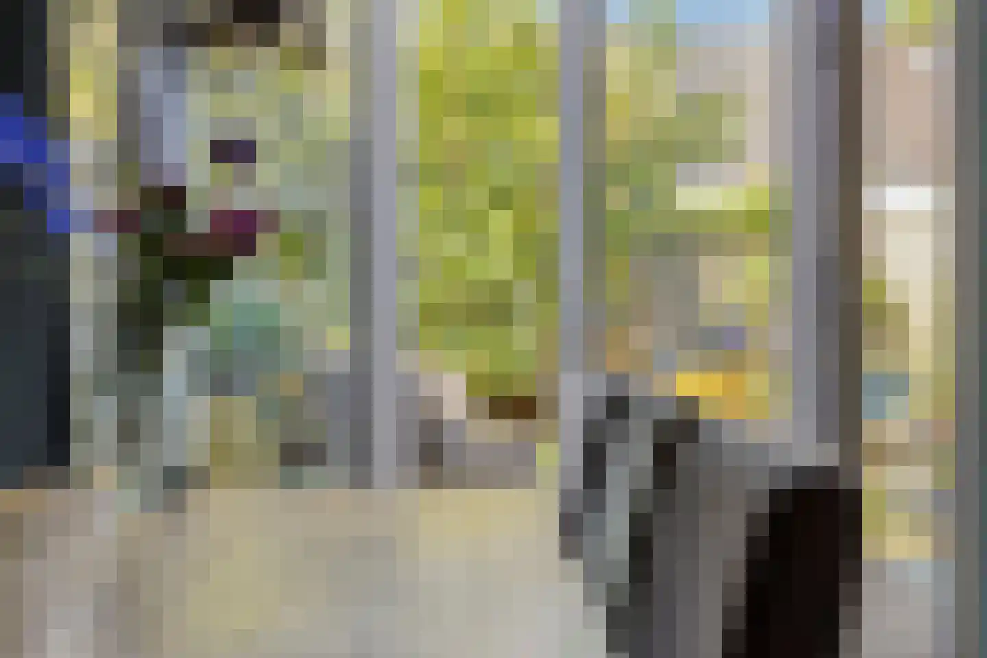 Punterdiep 12 Zwolle thumbnail 11