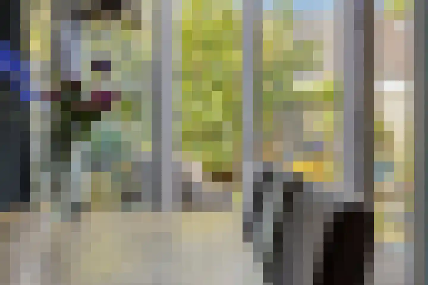 Punterdiep 12 Zwolle thumbnail 13