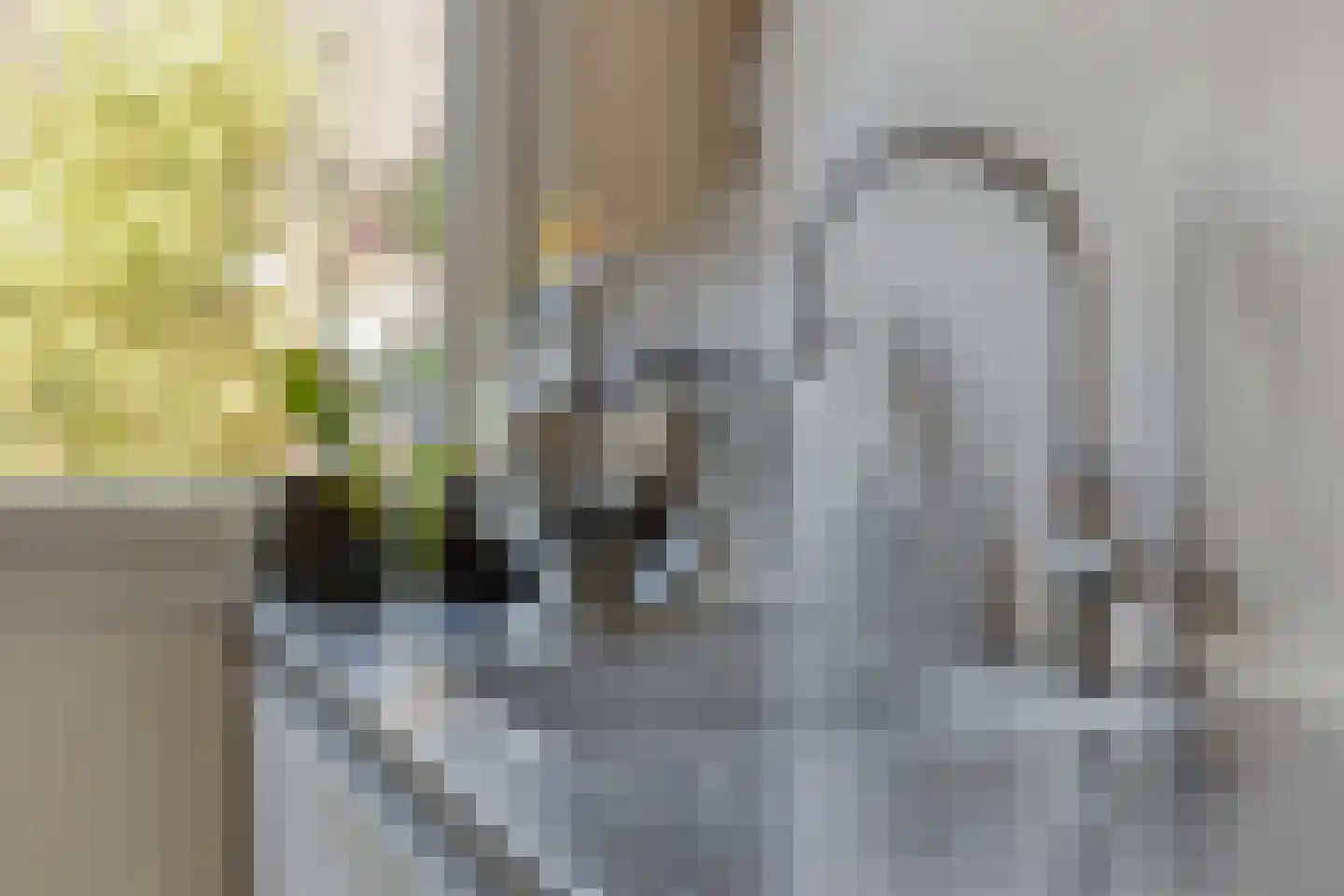 Punterdiep 12 Zwolle thumbnail 18