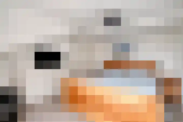 Punterdiep 4 Zwolle thumbnail 22