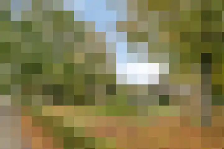 Punterdiep 4 Zwolle thumbnail 31