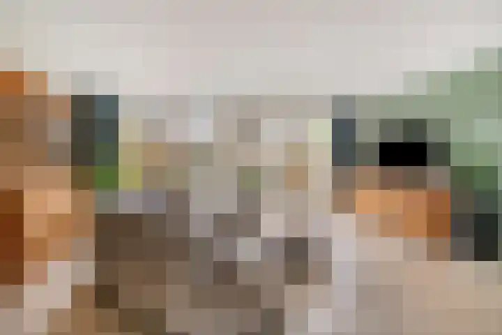 Punterdiep 4 Zwolle thumbnail 6