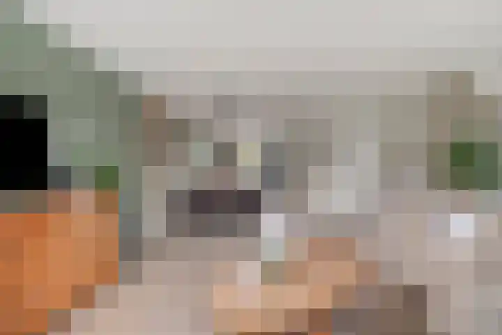 Punterdiep 4 Zwolle thumbnail 8