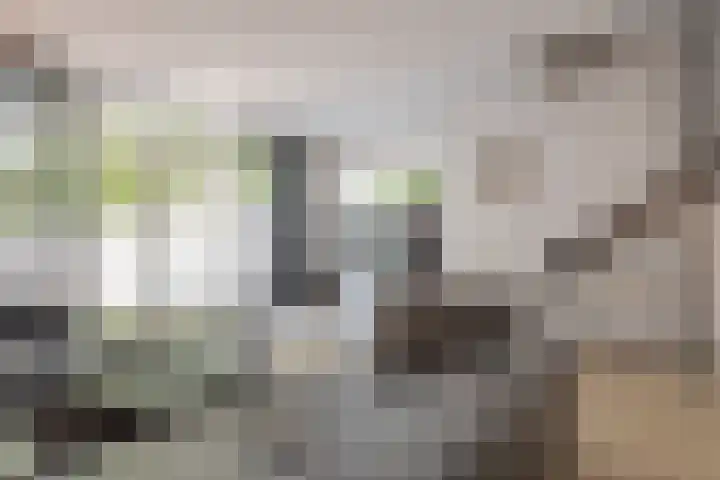 Punterdiep 67 Zwolle thumbnail 16