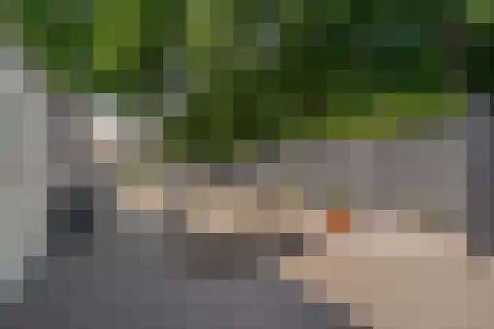 Punterdiep 67 Zwolle thumbnail 25