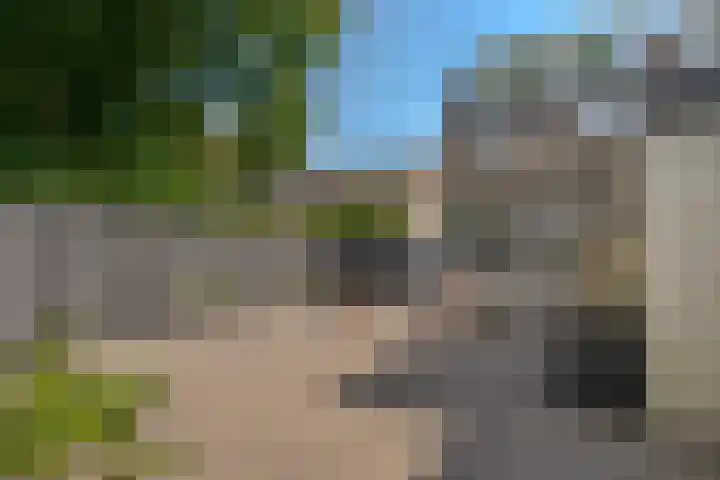 Punterdiep 67 Zwolle thumbnail 28
