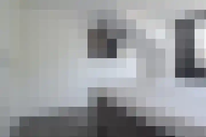 Punterdiep 67 Zwolle thumbnail 33