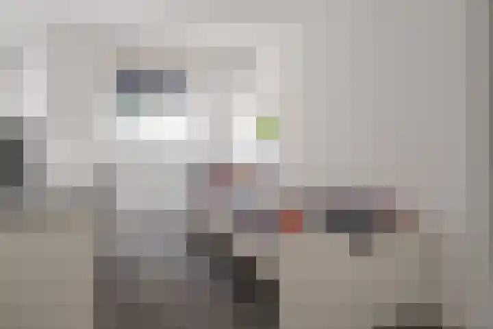 Punterdiep 67 Zwolle thumbnail 37