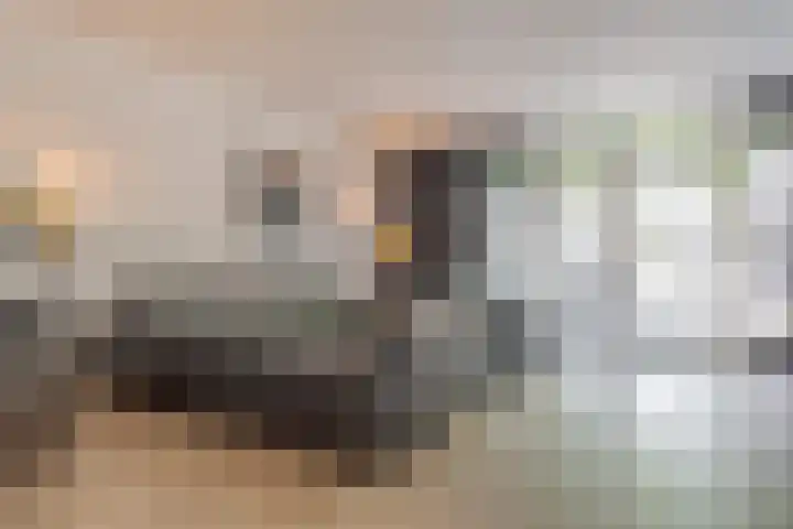 Punterdiep 67 Zwolle thumbnail 4