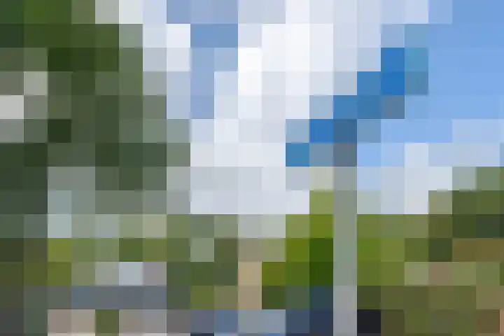 Punterdiep 67 Zwolle thumbnail 49