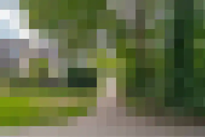 Punterdiep 67 Zwolle thumbnail 5