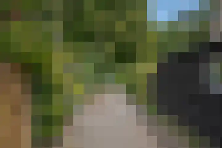 Punterdiep 67 Zwolle thumbnail 50