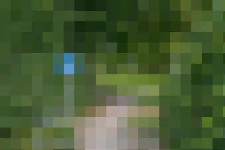 Punterdiep 67 Zwolle thumbnail 51