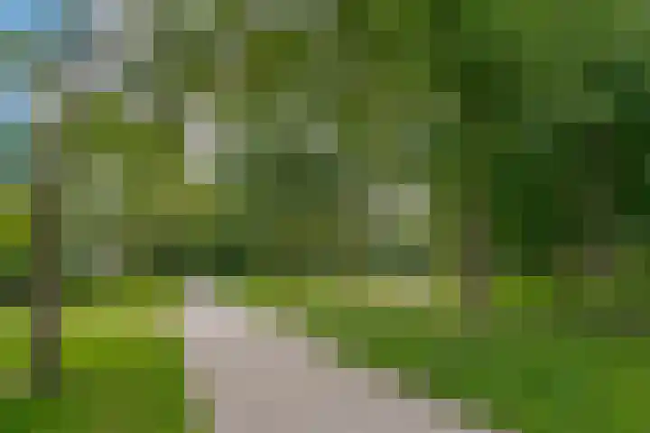 Punterdiep 67 Zwolle thumbnail 52