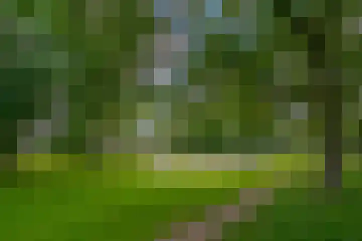 Punterdiep 67 Zwolle thumbnail 53