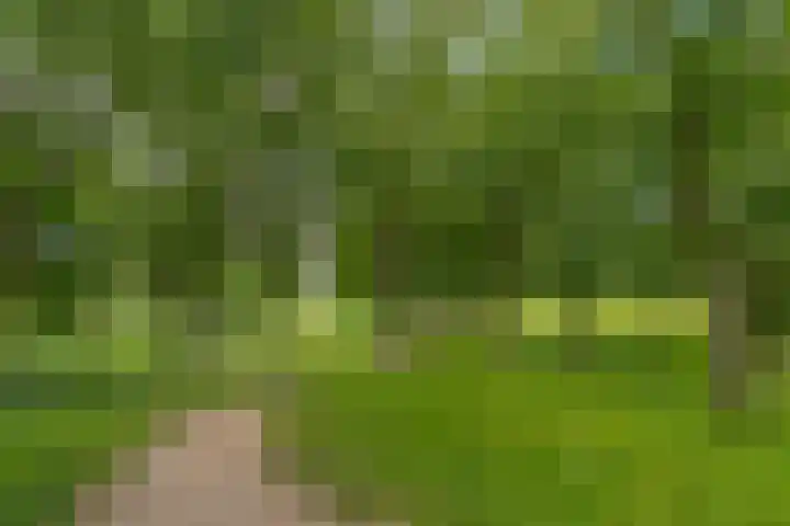 Punterdiep 67 Zwolle thumbnail 55