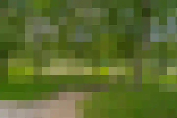 Punterdiep 67 Zwolle thumbnail 56