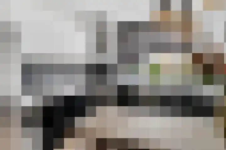Punterdiep 76 Zwolle thumbnail 11