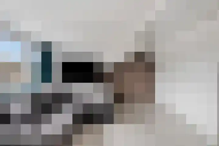 Punterdiep 76 Zwolle thumbnail 23