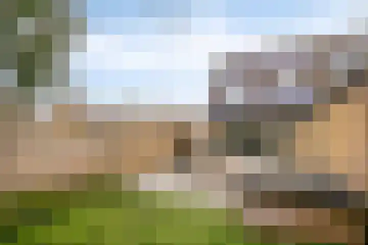 Punterdiep 76 Zwolle thumbnail 26