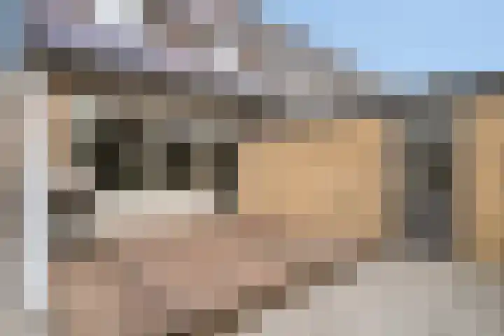 Punterdiep 76 Zwolle thumbnail 27