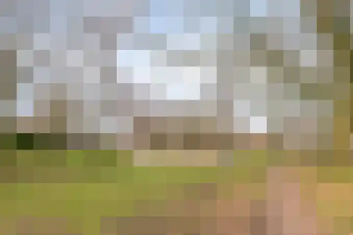 Punterdiep 76 Zwolle thumbnail 31