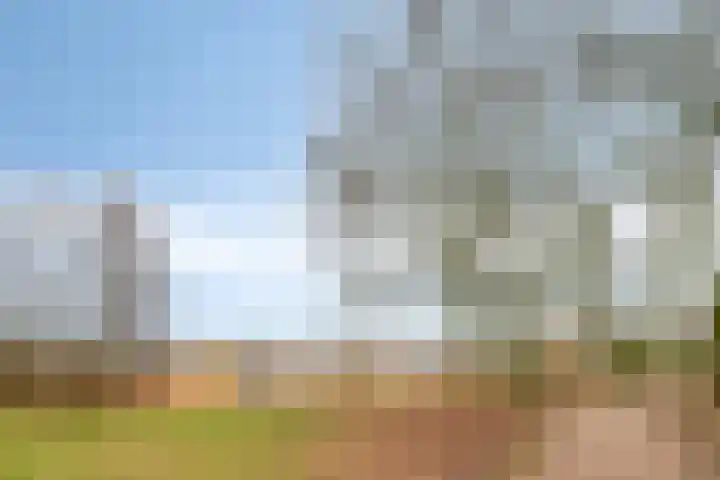 Punterdiep 76 Zwolle thumbnail 32