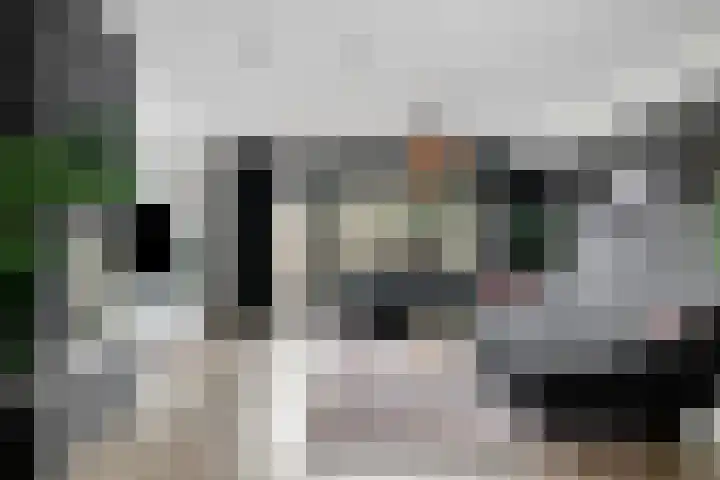 Punterdiep 76 Zwolle thumbnail 4