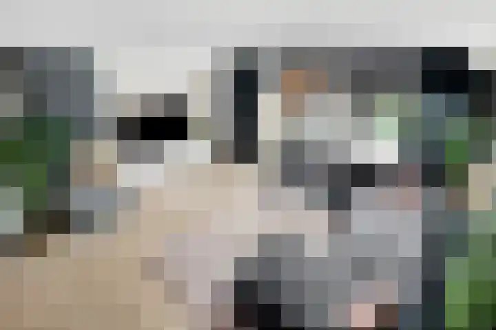 Punterdiep 76 Zwolle thumbnail 6